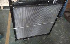 Радиатор основной Euro-4 WG9725530129