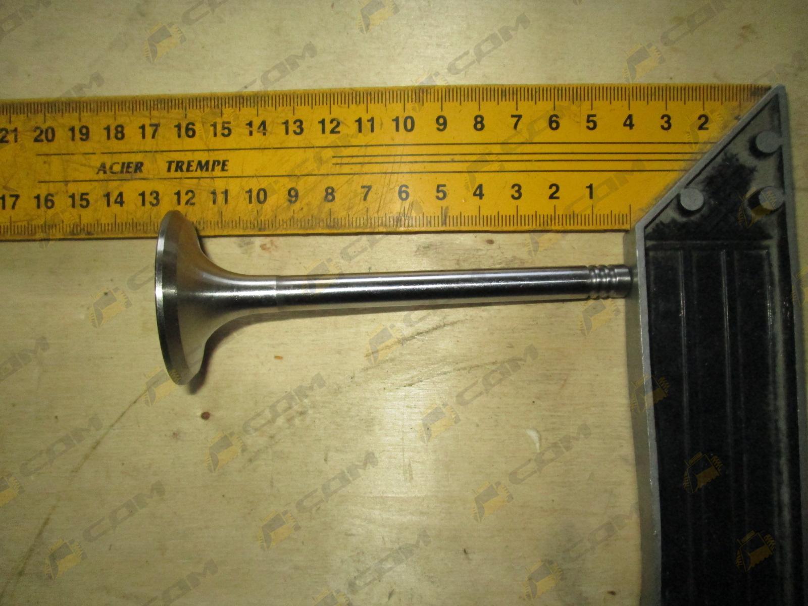 Клапан впускной TD226B-6G 12159606